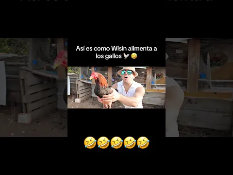 Así es como Wisin alimenta a los gallos 🐓 🤣