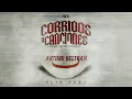 Elio Vega - Arturo Beltran (AUDIO)