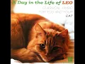 Gianni Schicchi, SC 88: O mio babbino caro (Arr. for Flute and Piano by Eugenia Zukerman)