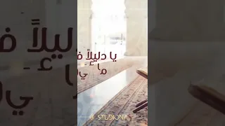تاج الوقار اجمل نشيد في حب القرآن بدون موسيقى عمار صرصر 