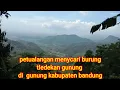 Lagu berburu burung tledekan gunung / anis bin bin