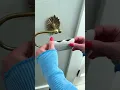 Easy spooky halloween decor