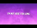 Dua Lipa - Houdini (Lyrics)