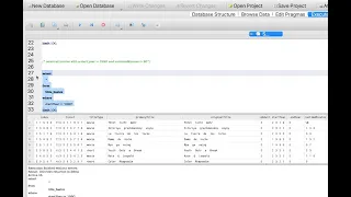 Using the SQLite DB Browser