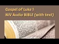 Luke 1 NIV BIBLE with text