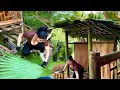 Download Lagu Girl Builds Bamboo Bathroom In The Middle Of A Deserted Island - Survival - Farm | Ma Thi Hieu
