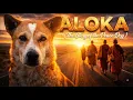 Lagu 2,300 Miles of Hope : The Heartwarming Story of ALOKA, the \