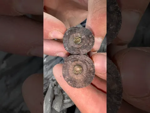 What an incredible discovery! 🤩 We stumbled upon a massive shale collapse