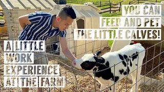 Farm Trip to Lancaster One of the oldest inland cities in the United States