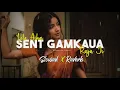 Lagu Lele Aiha Sent Gamkaua Raja Ji   Slowed and Reverb