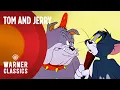 Lagu Tom and Jerry | Spike the Bulldog Mega Compilation | Warner Classics