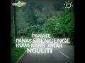 Download Lagu PANAS PANASE SRENGENGE KUI | CIDRO 2 | STORY WA TERBARU | Lungo Awaku Sing Kudu Lungo