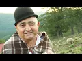Download Lagu O noapte la stana - Straja Pasul Vulcan