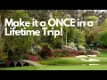 How to Prepare for The Masters Tips for the Ultimate Experience
