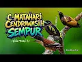 Download Lagu LAWAN AUTO BENGONG!! MASTERAN NEMBAK KASAR + JEDA TERAPI AIR