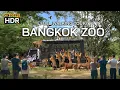 Download Lagu 🇹🇭 4K HDR | Safari World Bangkok, o jardim zoológico mais incrível do mundo | Passeio a pé completo