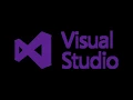 Visual studio How to hide password for log in screen