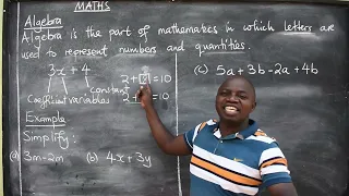 MATHS INTRODUCTION TO ALGEBRA