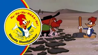 woody woodpecker packin woodpecker full episodes