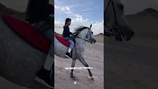 طفلة صغيرة تتحكم بالفرس السعودية خيل 