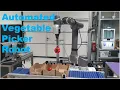 Lagu Automated Vegetable Picker Robot - SMR1
