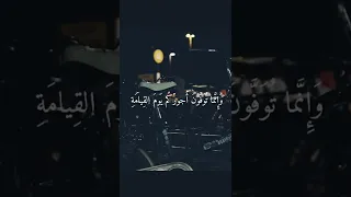 محمد صديق المنشاوي ترتيل خاشع حالات واتس اب قرآن قرآن Quran Islam 