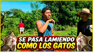 Miguel nos cuenta que Madison de tanto jugar con un gato hace lo mismo que ellos