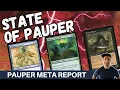 ANYTHING IS POSSIBLE The Pauper Format is in an incredible spot Lets see the Magic Online metagame