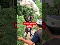 Download Lagu Mayat di curi ODGJ #comedy #tipeketawa #viralvideo #funny #lucu #ngakak #tertawabiarwaras