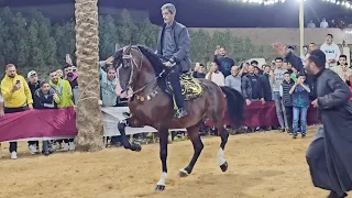 رقص اقوي حصان في مصر الملك بويكا حفلة العتاولة الهرم      دندنها