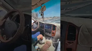 لايفوتكم جديد شيلات حماسيه                       تصويري دندنها