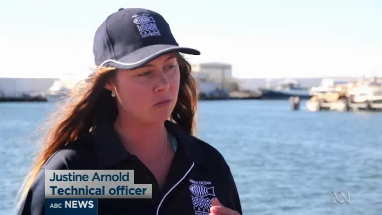 Aquaculture is the fastest growing primary industry in Australia: video thumbnail