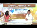 How to Cope With Spring Allergies News Interview