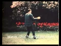 Download Lagu dr Chi Chiang Tao practising 47 form in the garden