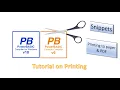 PowerBasic Snippets - Tutorial of printing to Paper and PDF files from your application