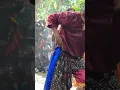 Download Lagu PANTUN JANDA RIMA MISTY ft DELVIA jaranan PANDOWO PUTRO NGETREP
