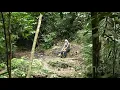 Download Lagu Wildlife saltlick, Royal Belum, Malayisa. 20200823_153056.uhd