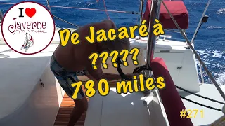 #271 De Jacaré à ????, 780 miles