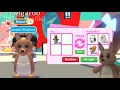 Trading a Kangaroo on Adopt Me In 2026 INSANE OFFERS