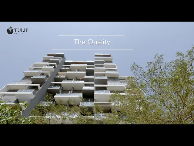 Project Video