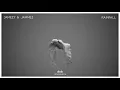Jamezy & Jammez - Rainfall
