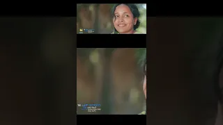 The Best Of Teamir Gizaw 2025 2024 Ethiopianmusic Ethiopia Eritreanmusic Teamir Gizaw Habesha 