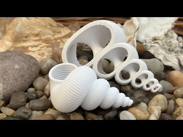 Plain Seashell for Remixing video thumbnail