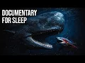 Why the Entire Ocean Is Terrified of Sperm Whales Documentary For Sleep