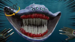 360° VR El Gran Maja Terrifying Sea Monster Encounter