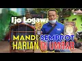 Lagu MANDI SEMPROT HARIAN DI UMBAR - BONGKAR SETTINGAN CUCAK IJO PRESTASI LOGAWA KMP PURWOREJO By HoBi ID