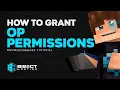 How to Grant OP Permissions on a Minecraft Server