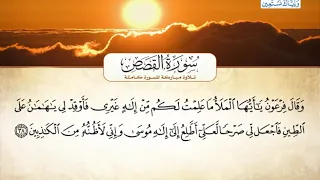 سورة القصص بصوت القارئ الشيخ أحمد بن علي العجمي 