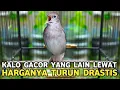 Lagu MIRIS HARGANYA TURUN DRASTIS || PADAHAL KALO SUDAH GACOR YANG LAIN LEWAT SIKATAN LONDO IMPOR MURAH