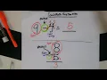 Touch Math Double Digit Subtraction